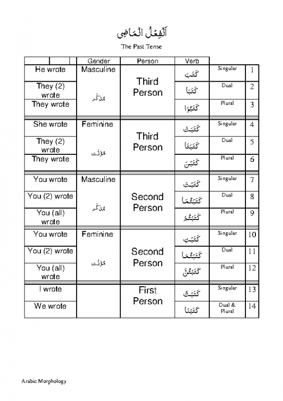 1. Past Imperfect Lessons 1-8 (4 Patterns)